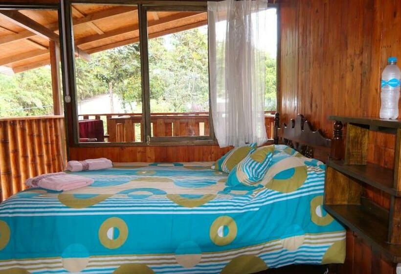 スタンダードルーム, Mindoxtrem Birds