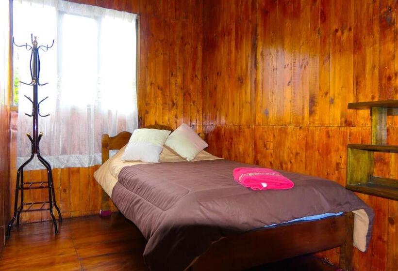 ファミリールーム, Mindoxtrem Birds