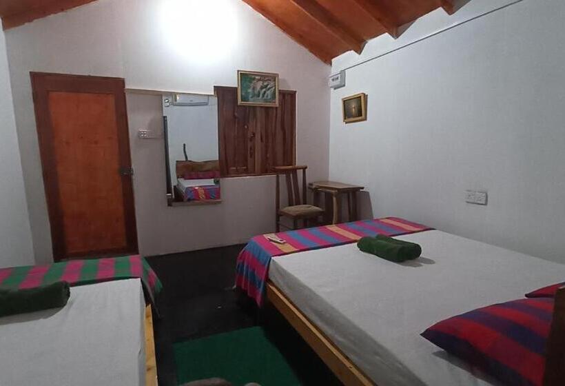 اتاق استاندارد سه نفره, Nature Beach Huts