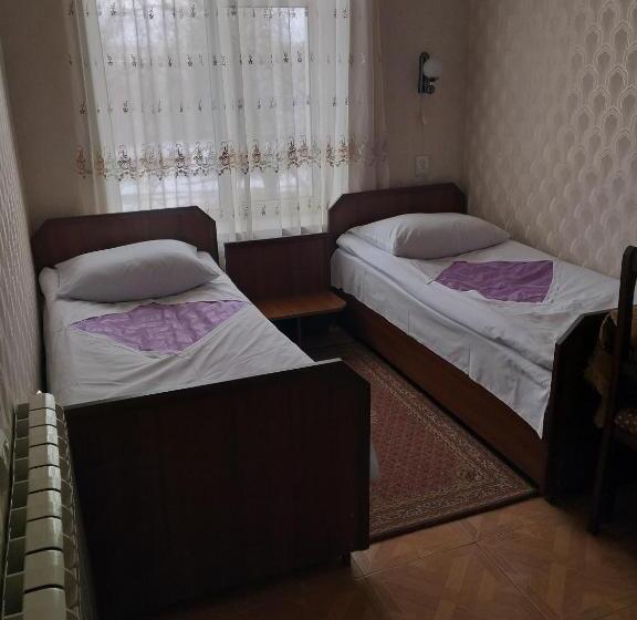 Номер Стандарт, Dina