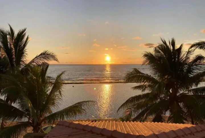 اتاق استاندارد, Coral Reef Guest
