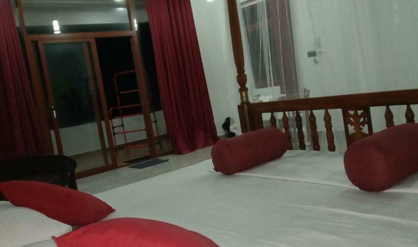 标准间, Coral Reef Guest