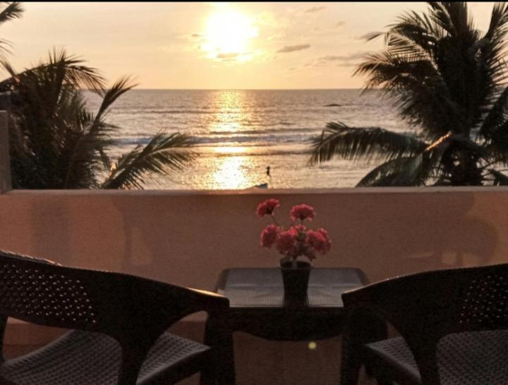 标准间, Coral Reef Guest