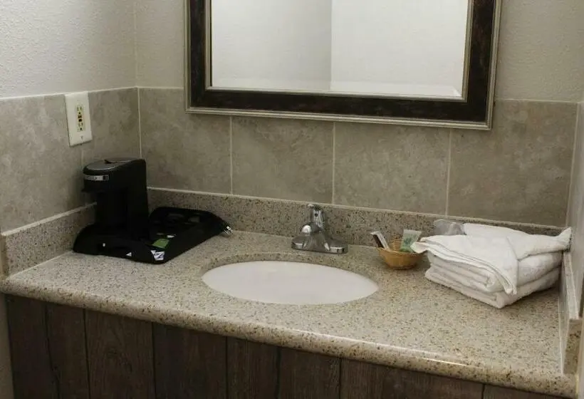 デラックスルーム, Regency Inn