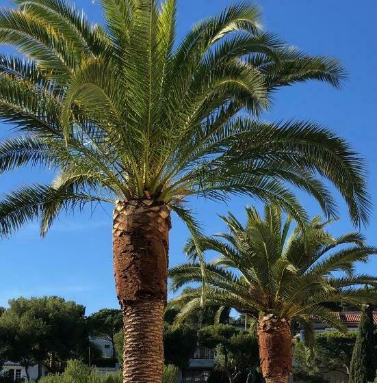 小型豪华套房, The Address Cassis