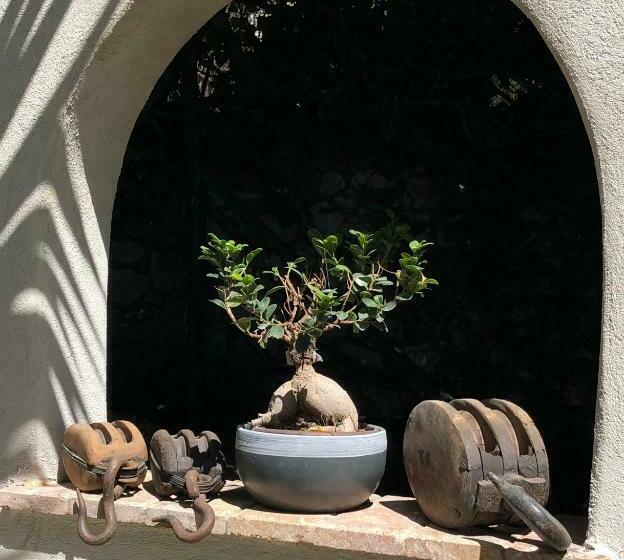 סוויטת ג'וניור דלוקס, The Address Cassis