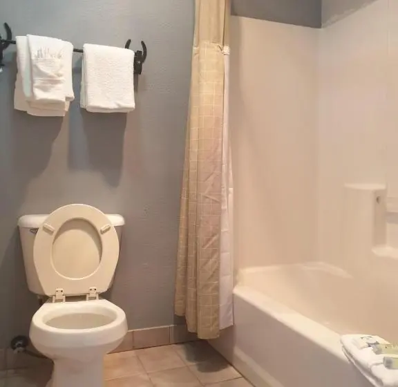 キングサイズベッドのデラックスルーム, Riata Inn  Marfa