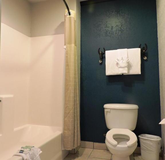 Номер Deluxe Кровать Кинг, Riata Inn  Marfa