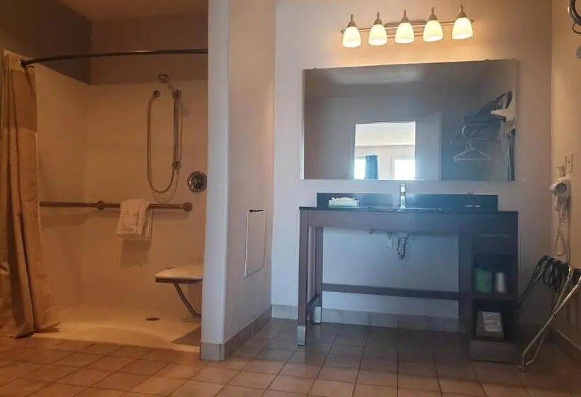 身障者適用キングサイズベッドルーム, Riata Inn  Marfa