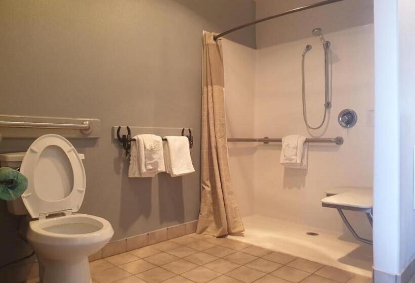 장애인을 위한 킹사이즈 침대 스탠다드 룸, Riata Inn  Marfa