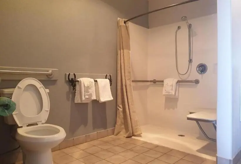 身障者適用キングサイズベッドルーム, Riata Inn  Marfa