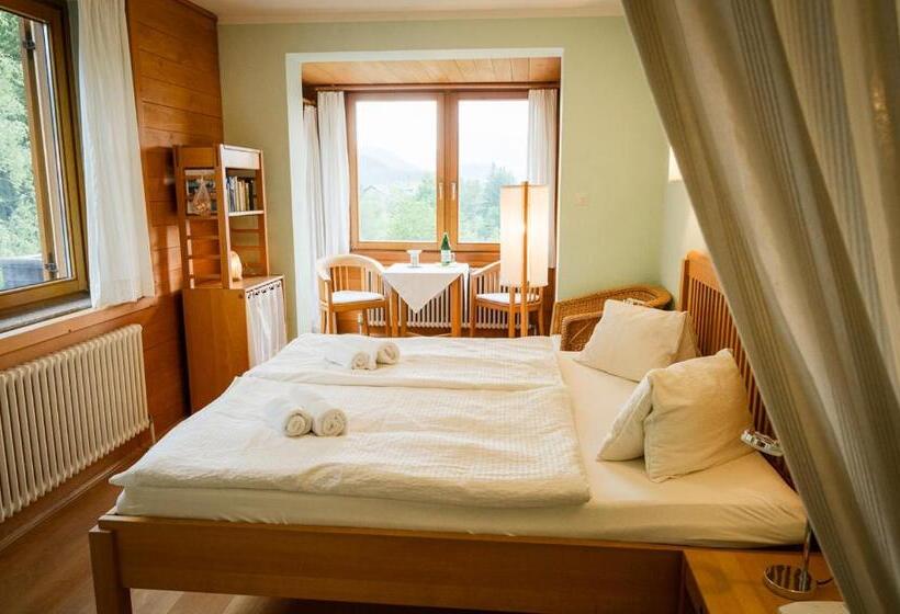 스탠다드 룸 산 전망, Panoramahotel Wagner Das Biohotel Am Semmering