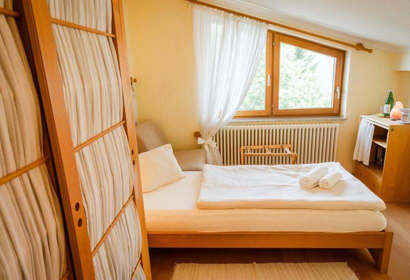 스탠다드 싱글 룸, Panoramahotel Wagner Das Biohotel Am Semmering