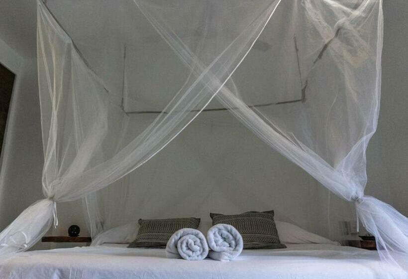 带大床的豪华间, Bikini Beach House