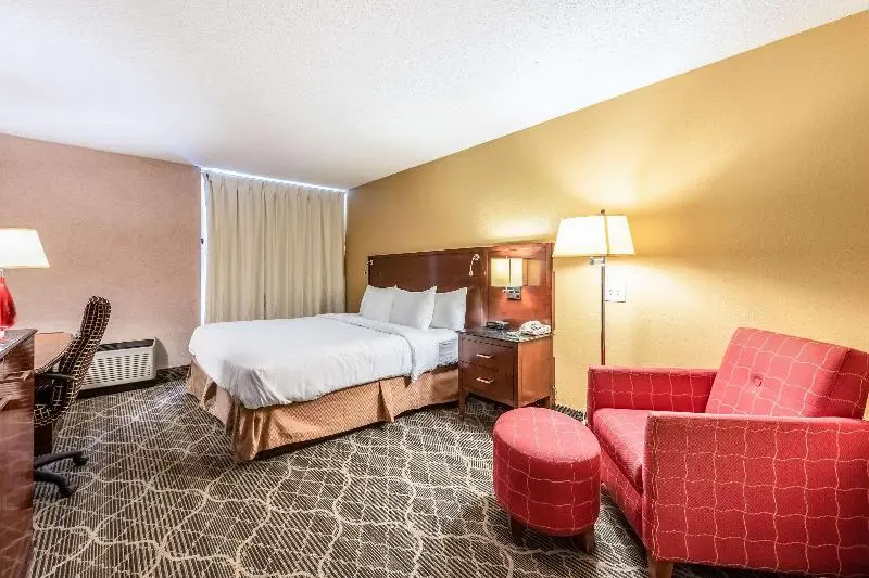 キングサイズベッドのスタンダードルーム, Quality Inn & Suites