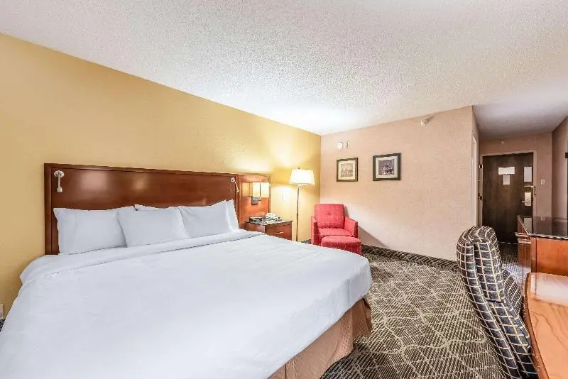キングサイズベッドのスタンダードルーム, Quality Inn & Suites