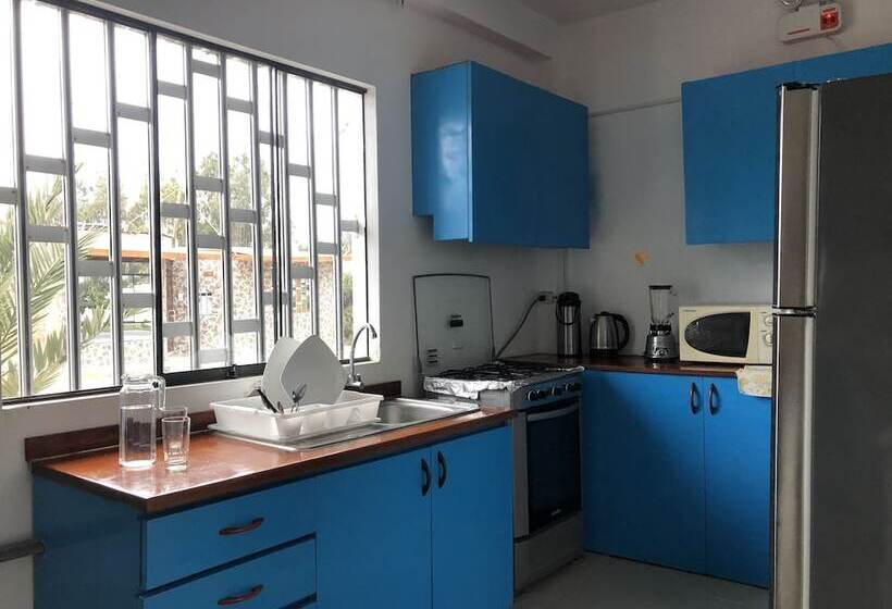 غرفة قياسية, Buganvilia