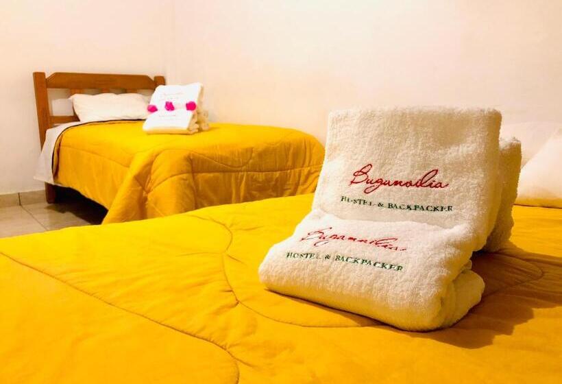 غرفة قياسية ثلاثية, Buganvilia