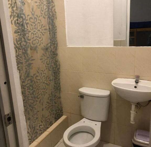 غرفة عائلية, Buganvilia