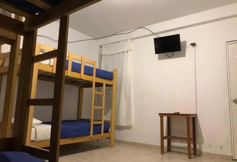 Aile Odası, Buganvilia