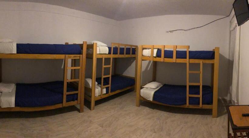 غرفة عائلية, Buganvilia