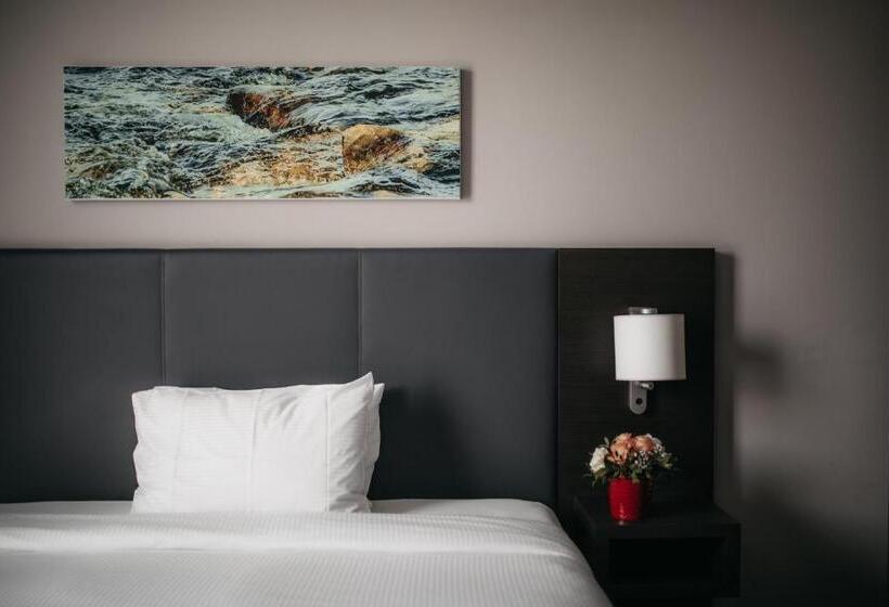 Студио Стандарт Кровать Кинг, Iip Apartments