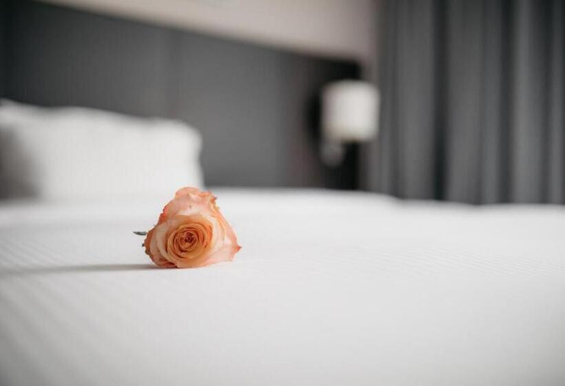 身障者適用スタンダードルーム, Iip Apartments