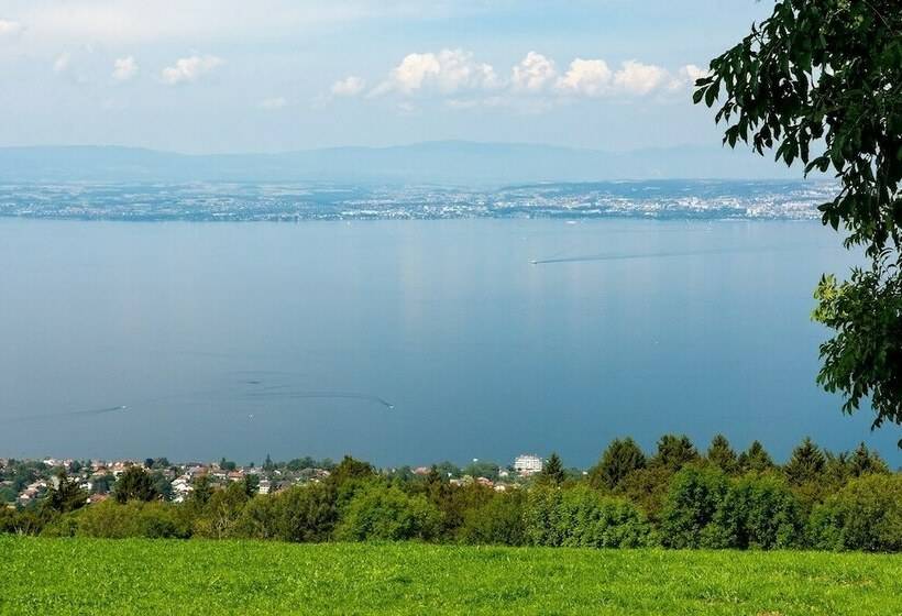 Номер Deluxe, Amodo Lodge