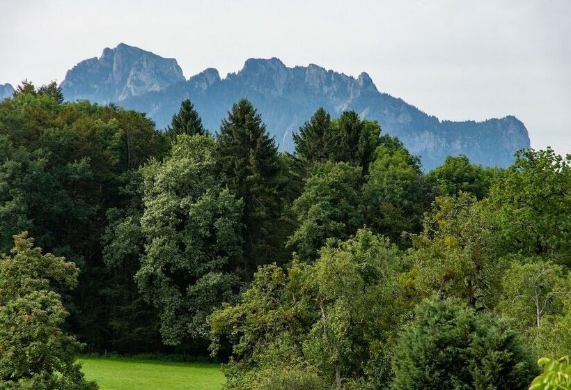 Номер Deluxe, Amodo Lodge