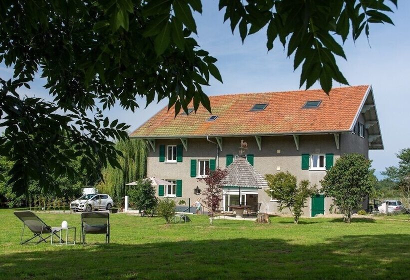 Номер Deluxe, Amodo Lodge