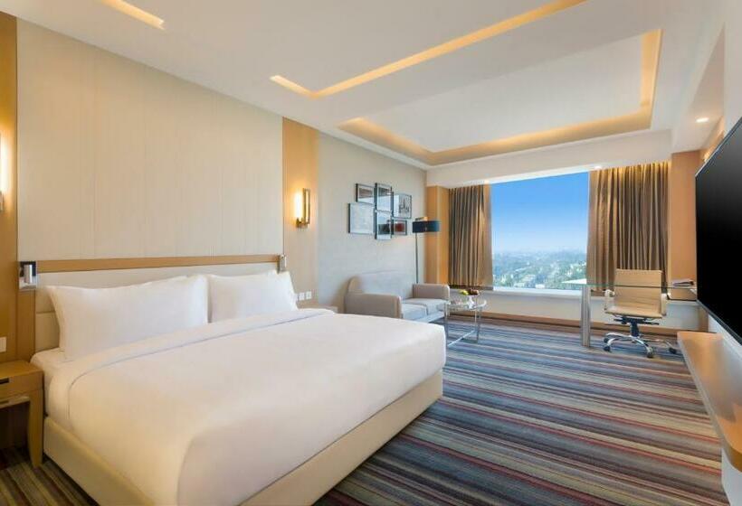 غرفة قياسية, Radisson Blu Gorakhpur