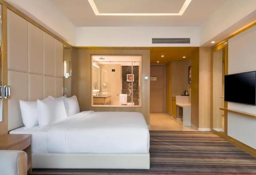 スタンダードルーム, Radisson Blu Gorakhpur