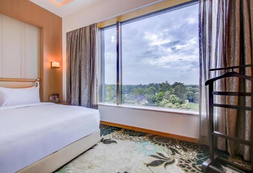 Люкс, Radisson Blu Gorakhpur