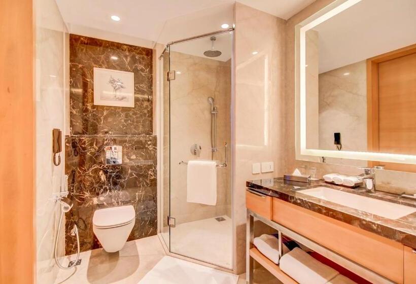 Люкс, Radisson Blu Gorakhpur