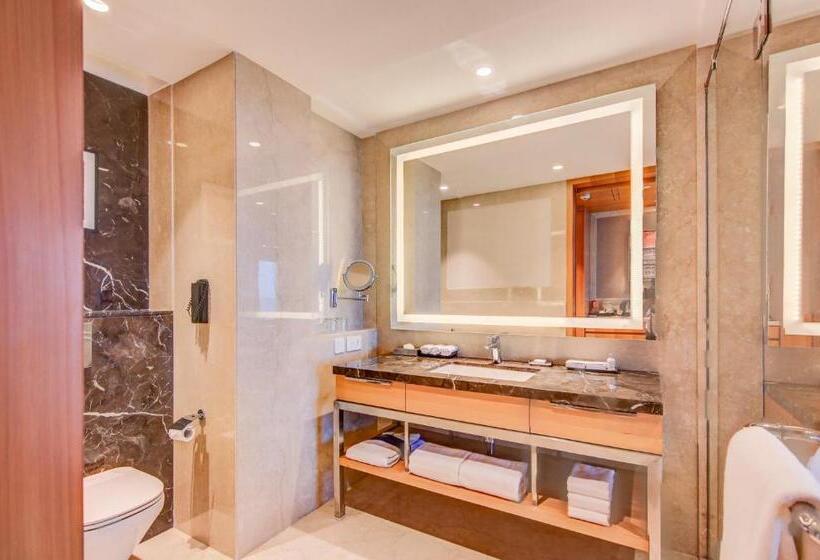 Номер Стандарт, Radisson Blu Gorakhpur