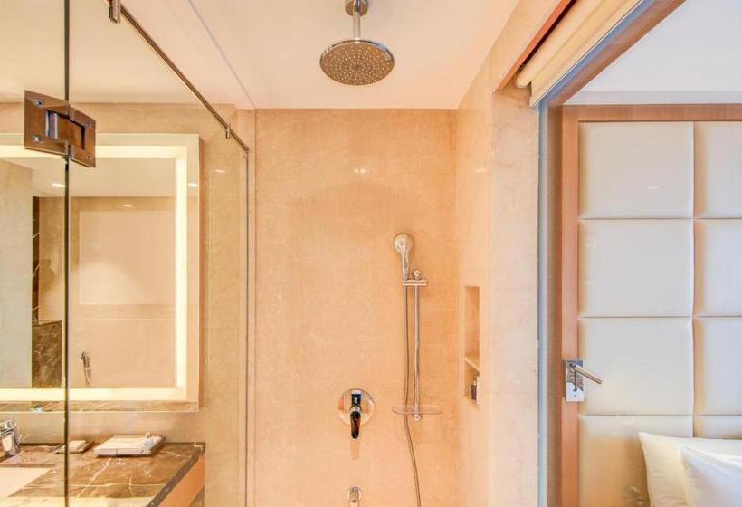 غرفة قياسية, Radisson Blu Gorakhpur