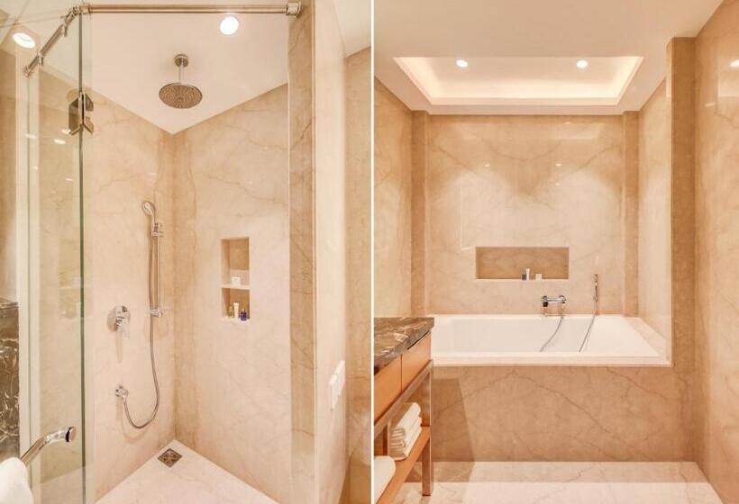 Люкс, Radisson Blu Gorakhpur