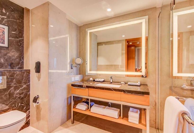 标准间, Radisson Blu Gorakhpur