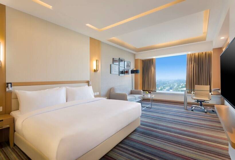标准间, Radisson Blu Gorakhpur