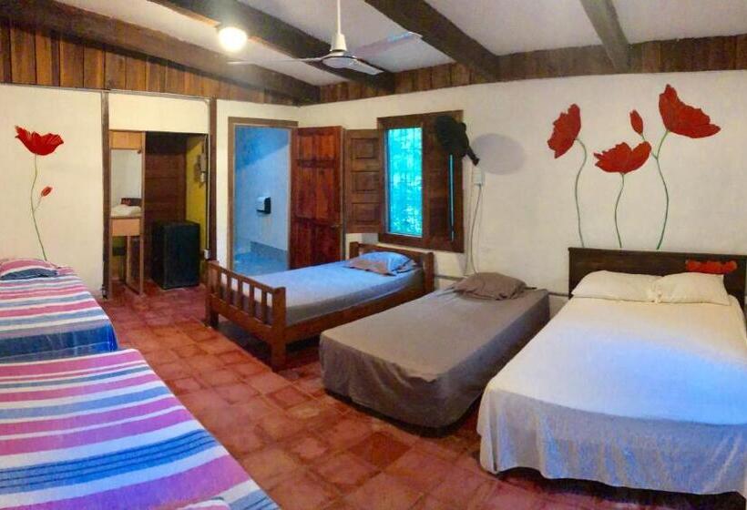 패밀리 룸, Tasty Dayz Hostel