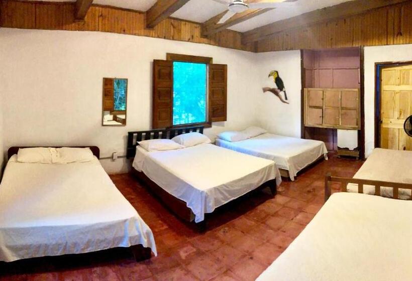 패밀리 룸, Tasty Dayz Hostel