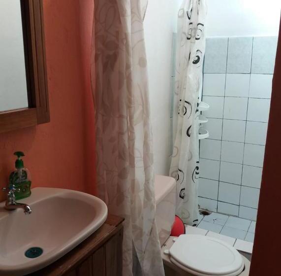 스탠다드 내측 룸, Tasty Dayz Hostel