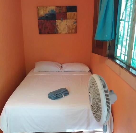 스탠다드 내측 룸, Tasty Dayz Hostel