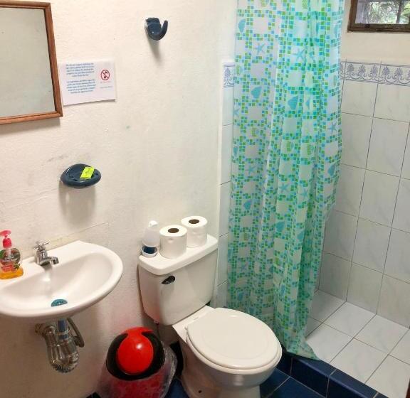 스탠다드 트리플 룸 테라스, Tasty Dayz Hostel