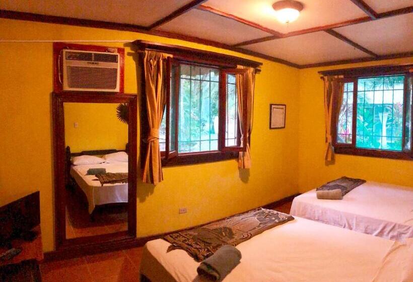 4인용 수피리어 룸, Tasty Dayz Hostel