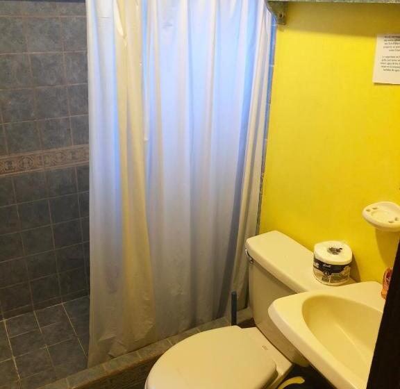 4인용 수피리어 룸, Tasty Dayz Hostel