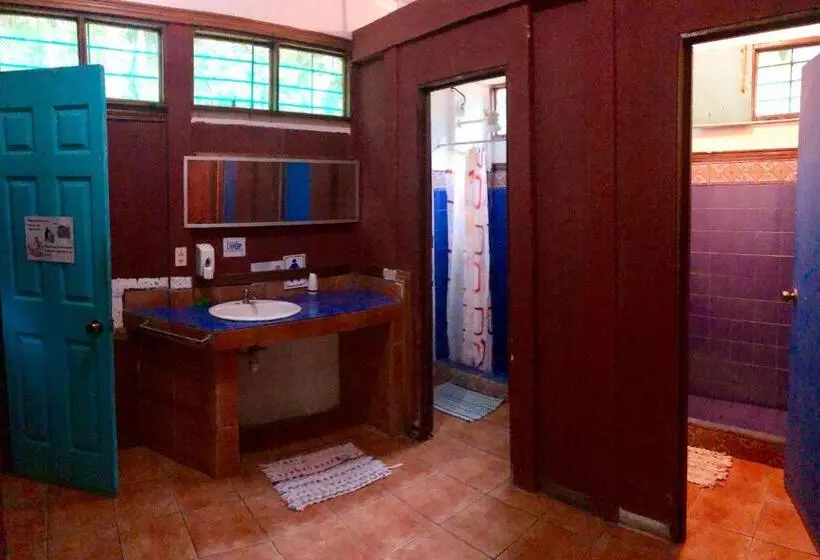 تختخواب در اتاق مشترک, Tasty Dayz Hostel
