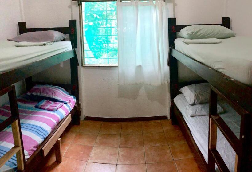 공동 객실, Tasty Dayz Hostel