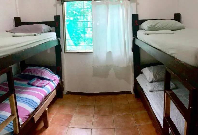 تختخواب در اتاق مشترک, Tasty Dayz Hostel