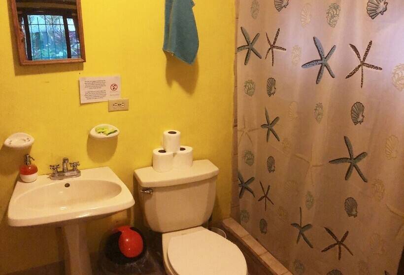 Четырехместный Номер Superior, Tasty Dayz Hostel